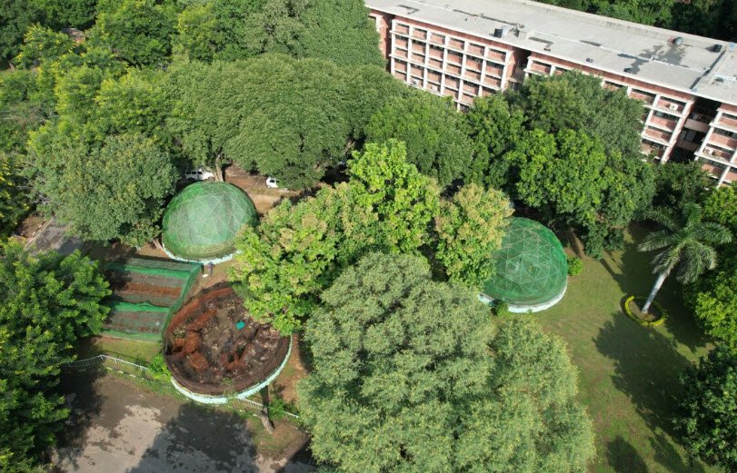 New Campus Botanical Garden, University of Punjab, Lahore, Lahore, Pakistan, Pakistan